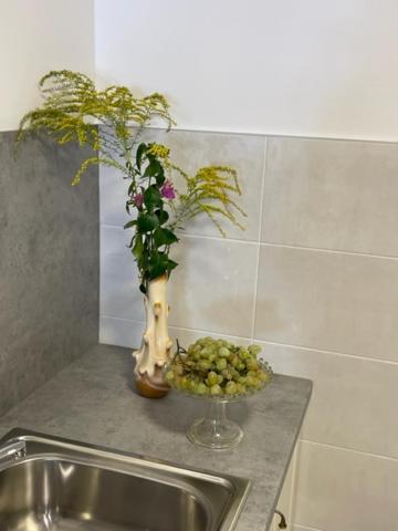 Apartment Concetta Đảo Cres Ngoại thất bức ảnh